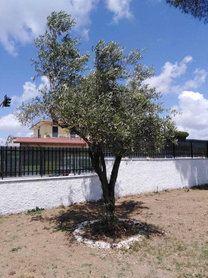 Villa Ivana Roma Ngoại thất bức ảnh