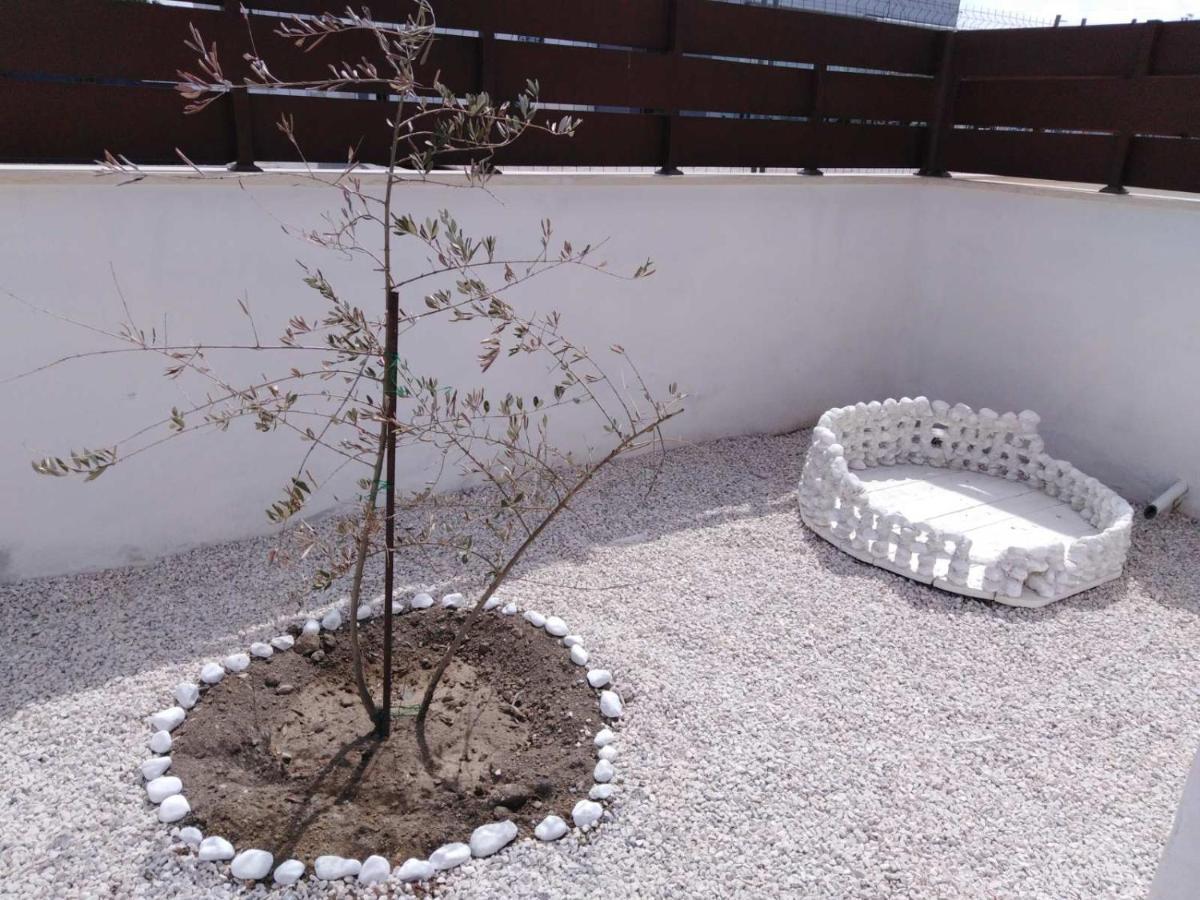 Villa Ivana Roma Ngoại thất bức ảnh